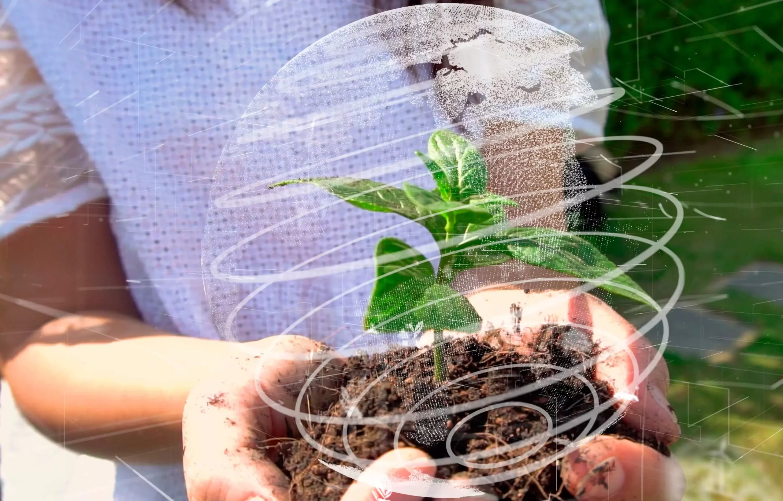 Agricultura Regenerativa: Um Convite à Revitalização do Solo e à Sustentabilidade